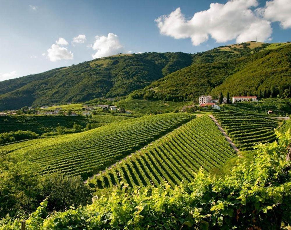 Follinetta10 - Enjoy Holiday Home In The Prosecco Hills フォッリーナ エクステリア 写真